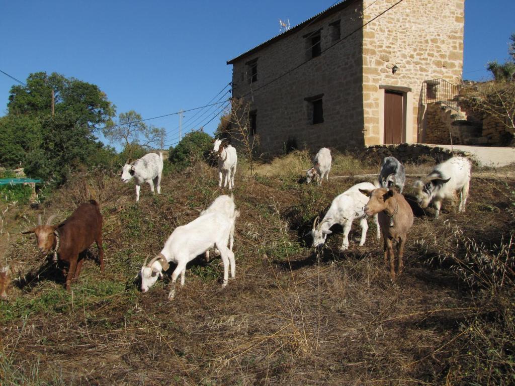 La Telleria Hotel Valjunquera Bagian luar foto